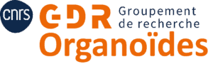 GdR Organoïdes